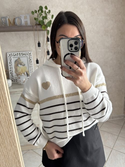 Pull à capuche Cylia